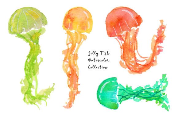 Cute Summer Jelly Fish Watercolor Illustrations for Creative Sellers