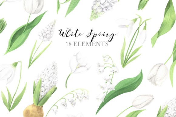 Elegant Watercolor White Flowers Clipart PNG for Creative Sellers
