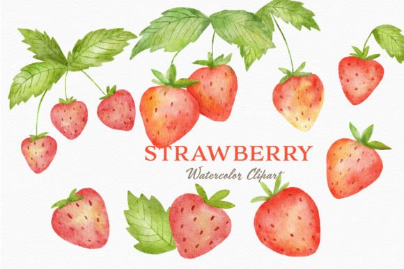 Strawberry Watercolor Clipart Berry PNG for Illustrations & Digital Selling