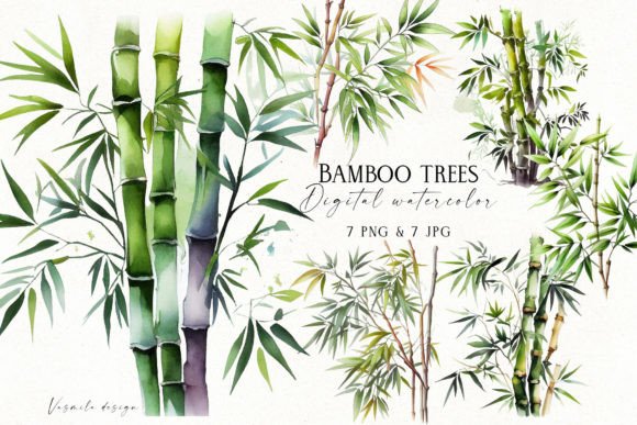 Watercolor Bamboo Trees Illustrations for Fresh Editorial and Web Design