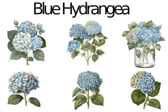 Watercolor Blue Hydrangea Illustrations for Sublimation Crafts