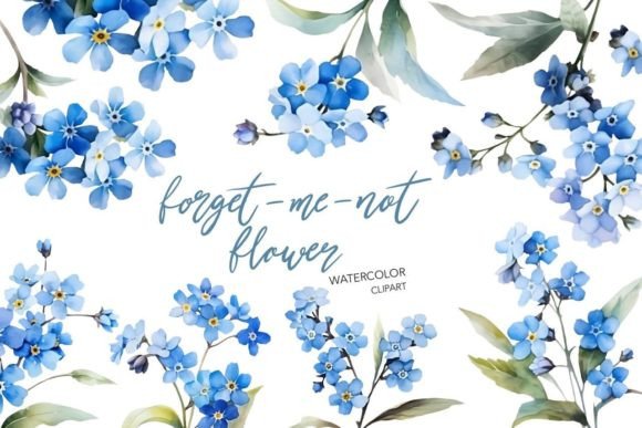 Watercolor Forget-me-not Flower Clipart & Illustrations