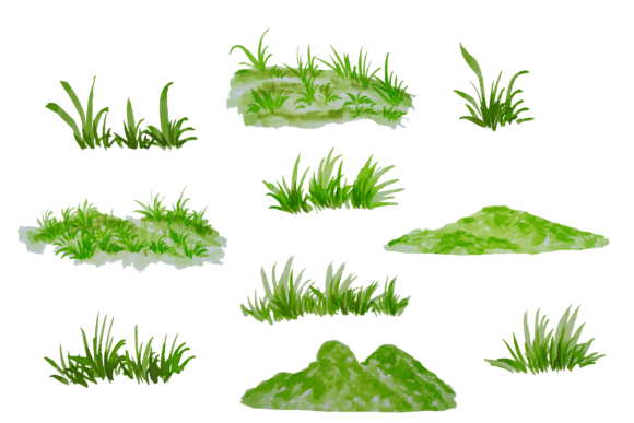 Watercolor Grass Background: A Brand Designer’s Review for Real Business Use