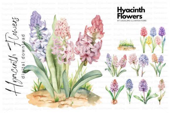 Watercolor Hyacinth Spring Flowers Illustrations: A Designer’s Real-World Review