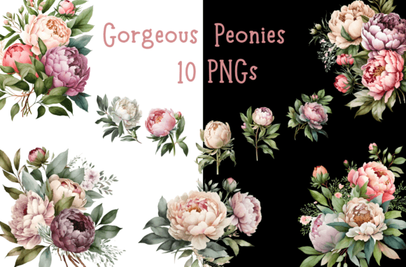 Watercolor Peony Floral Bundle: Elegant Illustrations for Modern Branding