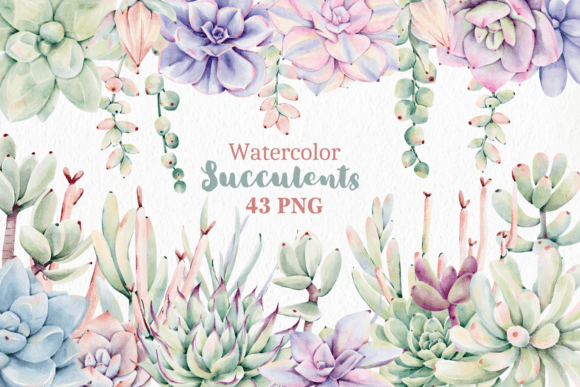 Watercolor Succulent Plants PNG & Illustrations